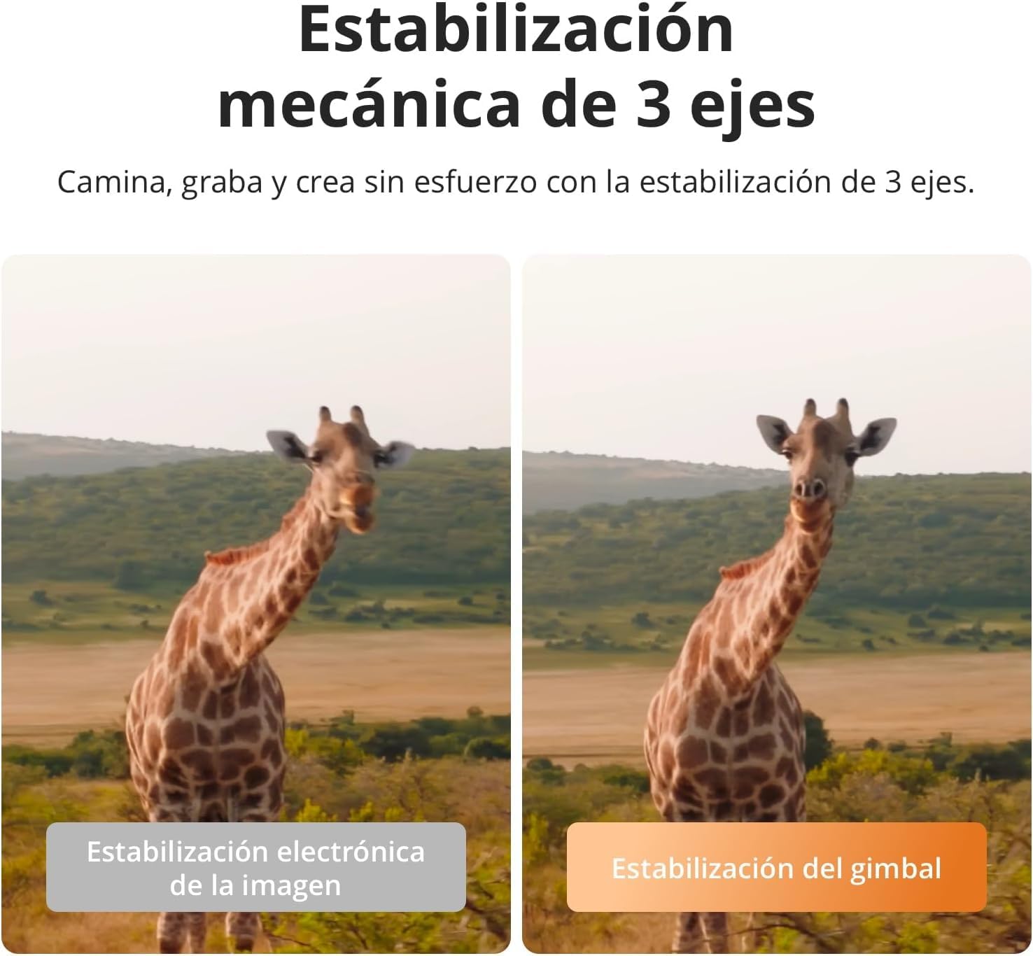 DJI Pack Estándar Osmo Pocket 4 Bundle, cámara para videovlogs de Bolsillo con estabilizador, 1″ CMOS y 4K/240 fps, estabilización de 3 Ejes (Juego de 3 filtros)