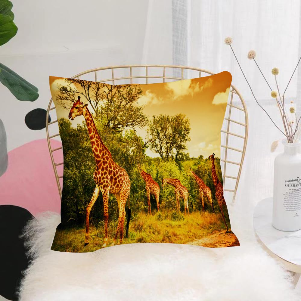 HYOSXW Cushion Cover,Throw Pillow Case Home Decorative for Living Room Bedroom Sofa Chair 16X16 Inch,Image of a South African giraffes big family graze in the wild forest wildlife,Pillowcase 40X40cm