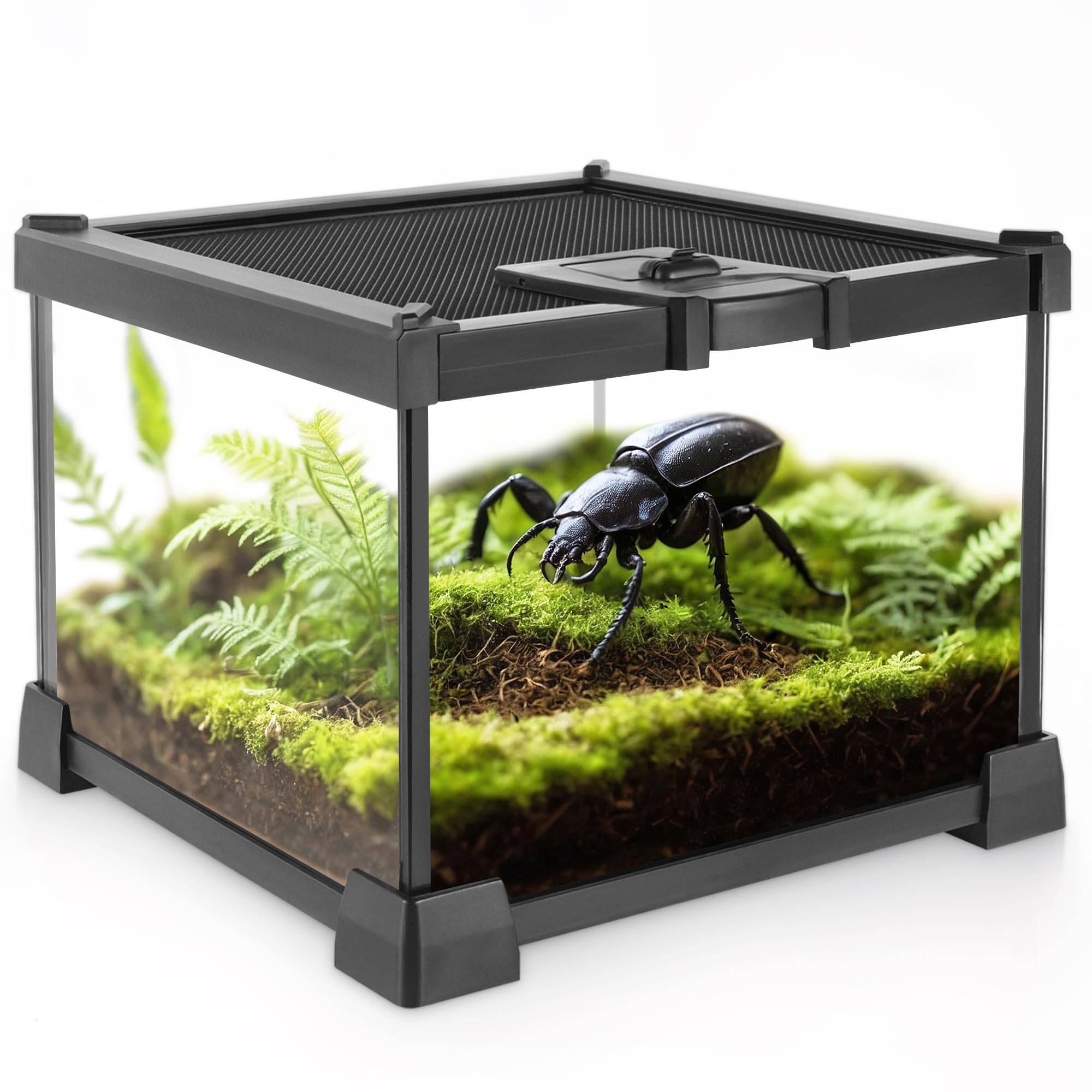Sponsored Ad - Min,i Reptile Glass Terrarium Vivarium Full View Tank Small Amphibians Glass Habitat Cage with Feeding Slot & Box Lock Buckle (8" D X 8" W X 6" H)