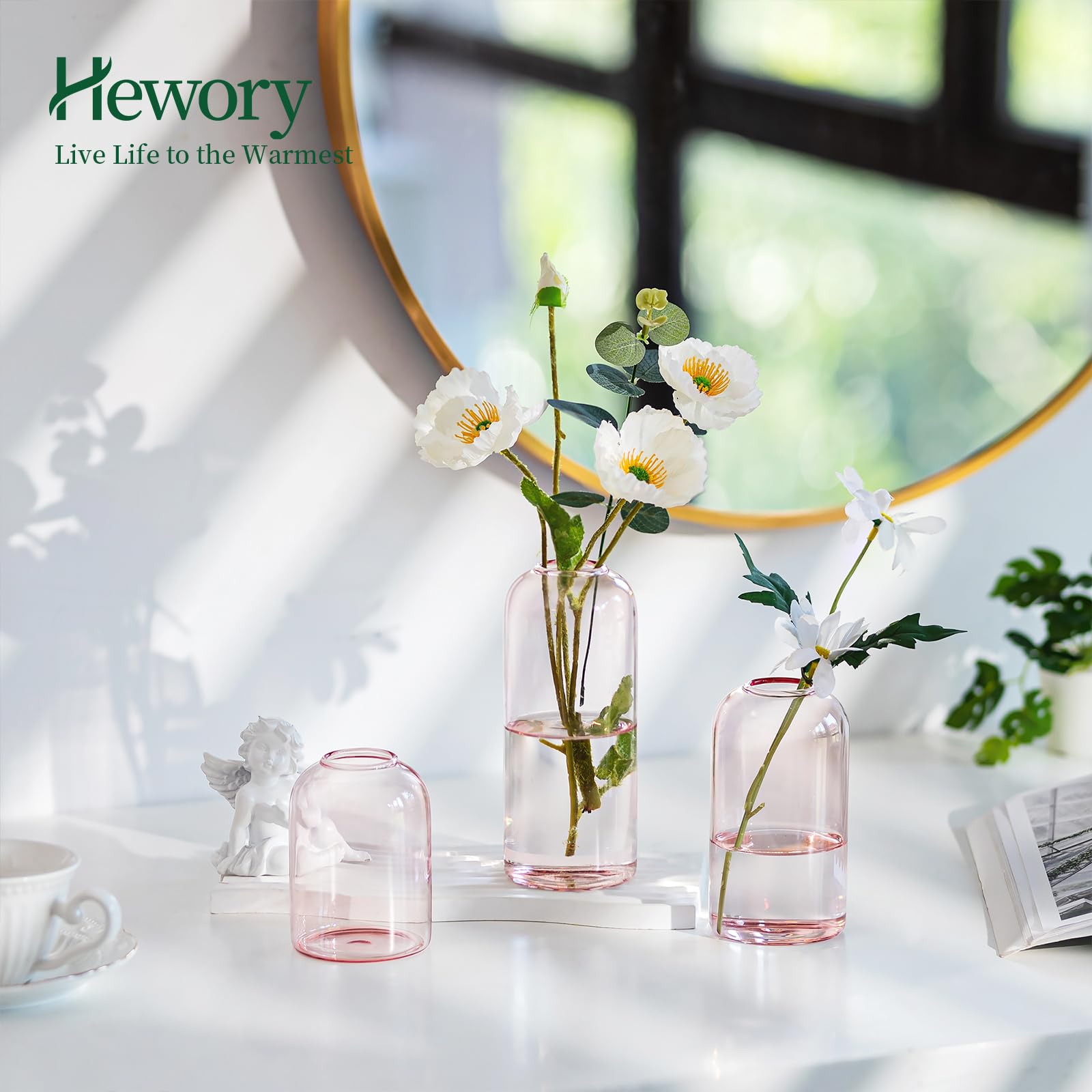 Lot De 6 Petits Vases Décoratifs En Verre Transparent - Soliflores Cylindriques Modernes