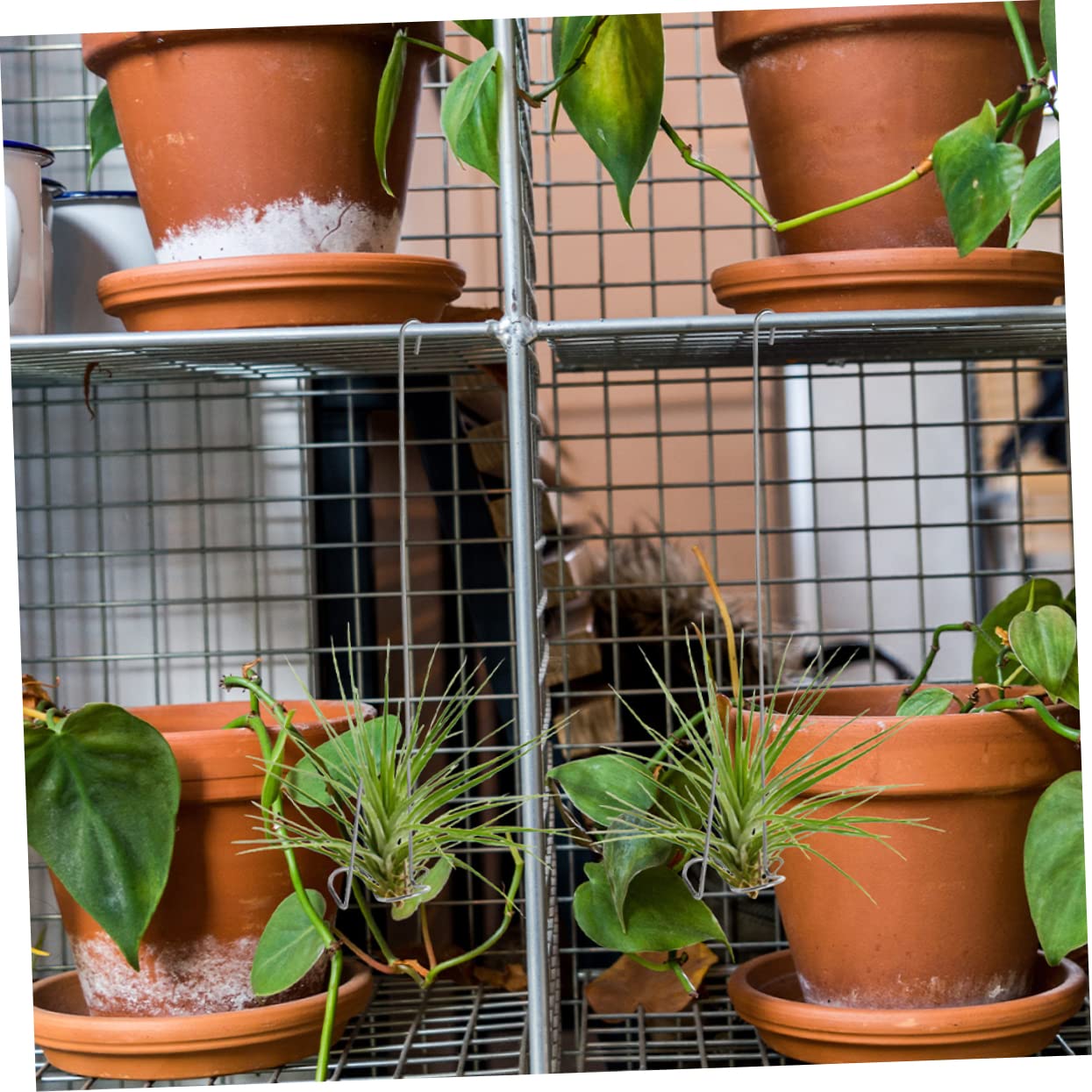 Lot De 4 Supports Plantes Aériennes à Suspendre - Panier Géométrique Métal Noir - Décoration Jardin Et Intérieur