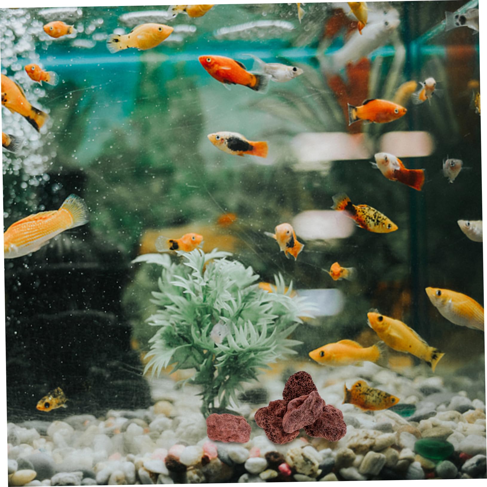 Toddmomy Ornements en Pierre Volcanique Faits À La Main Pierres Décoratives pour Aquarium Roche Volcanique Naturelle pour Plantes Succulentes