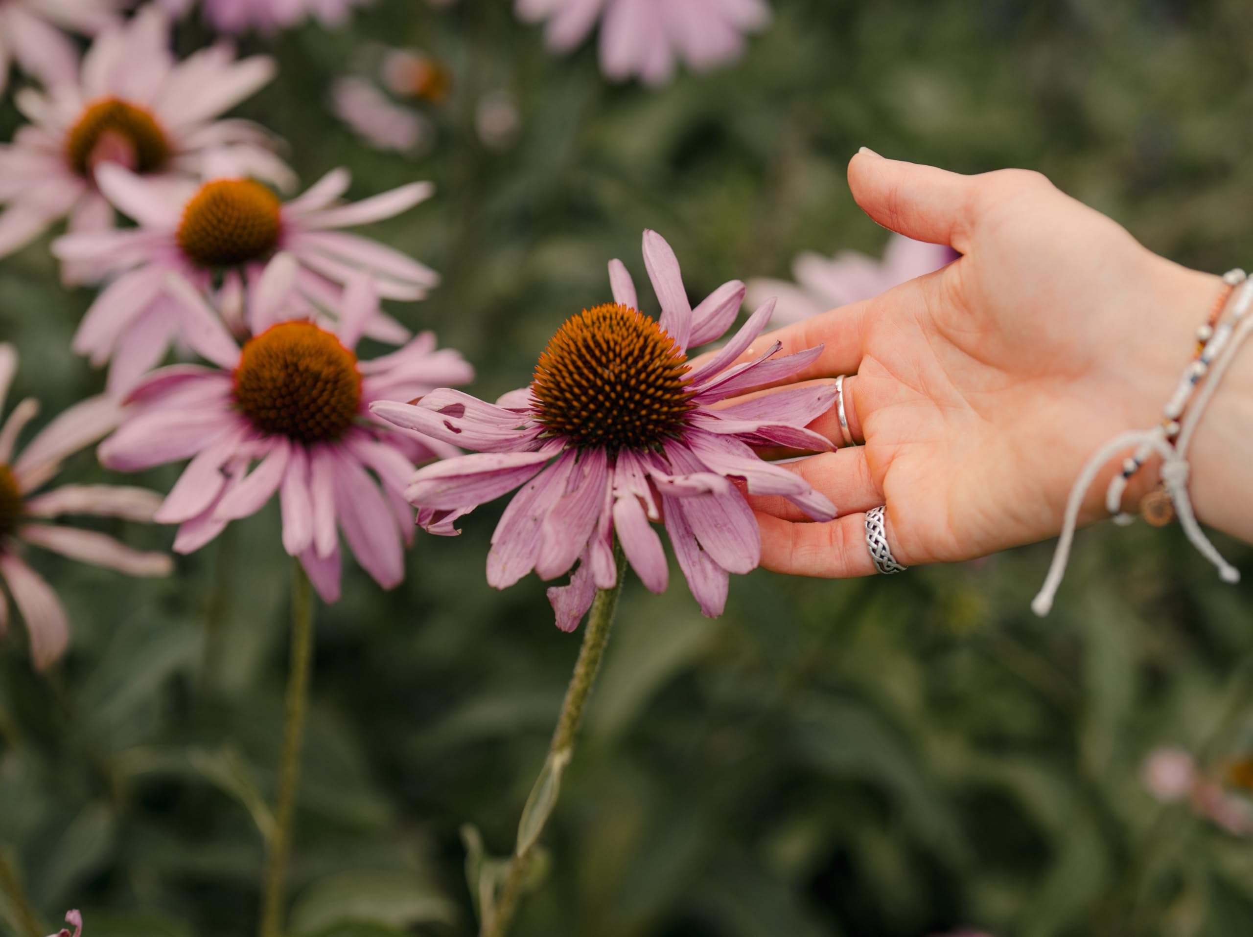 Jessica Willis Fisher