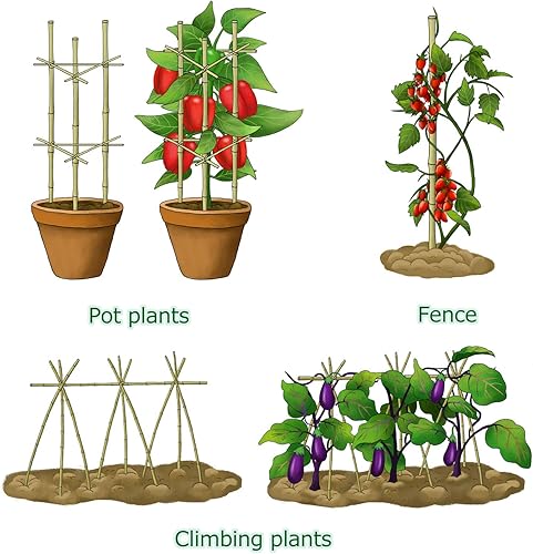 Miniatura 8 de Varillas de bambú para plantas de 2 pies con 200 pies 0.118 in de cuerda de jardín resistente, 30 estacas de bambú para soportes de plantas de