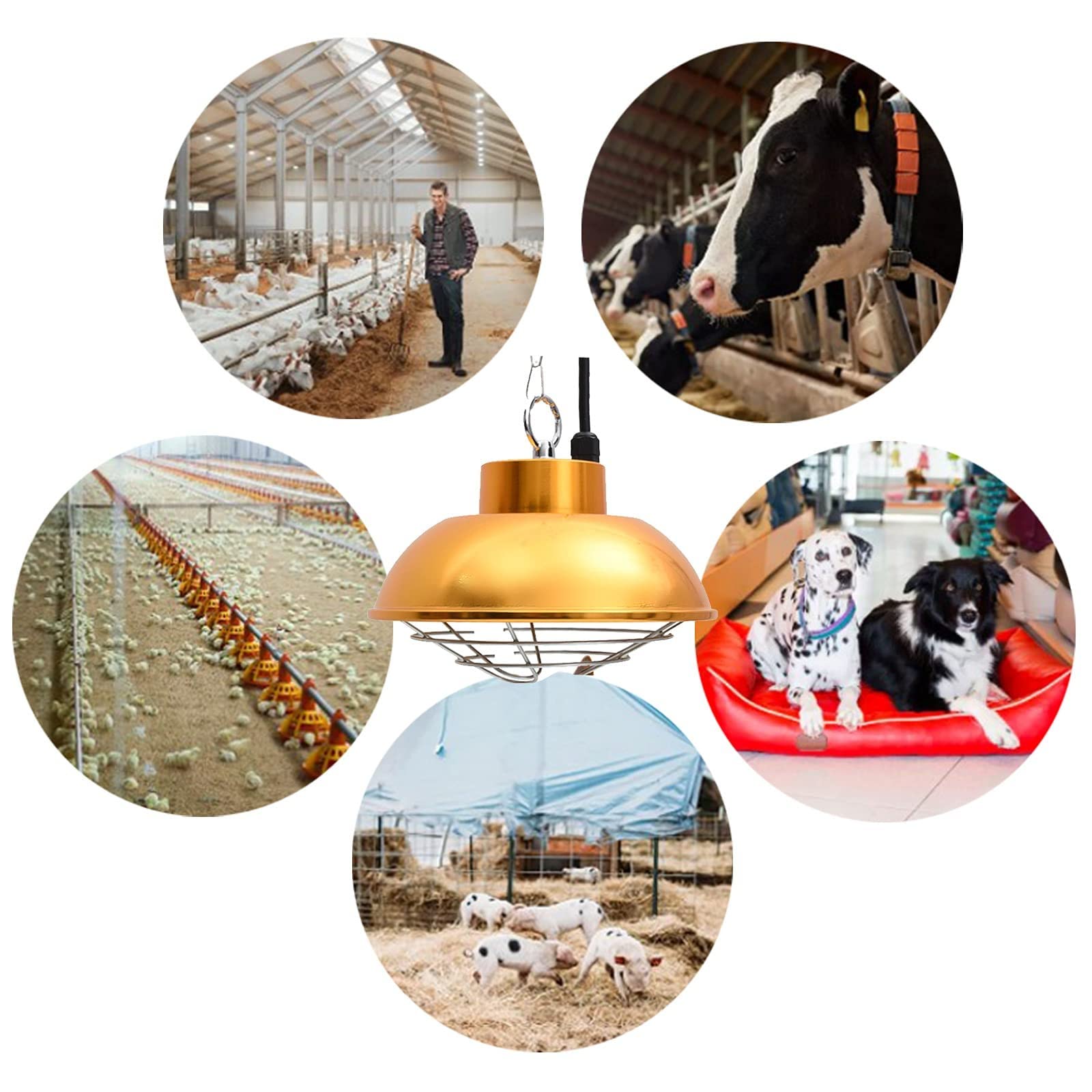 Lampada Riscaldante a Infrarossi per Pollame, Lampada Riscaldante per Pulcini, Lampada Riscaldante per Canili per Cuccioli 250-500W per Allevamento e Famiglia, Alta e Bassa Temperatura Regolabile