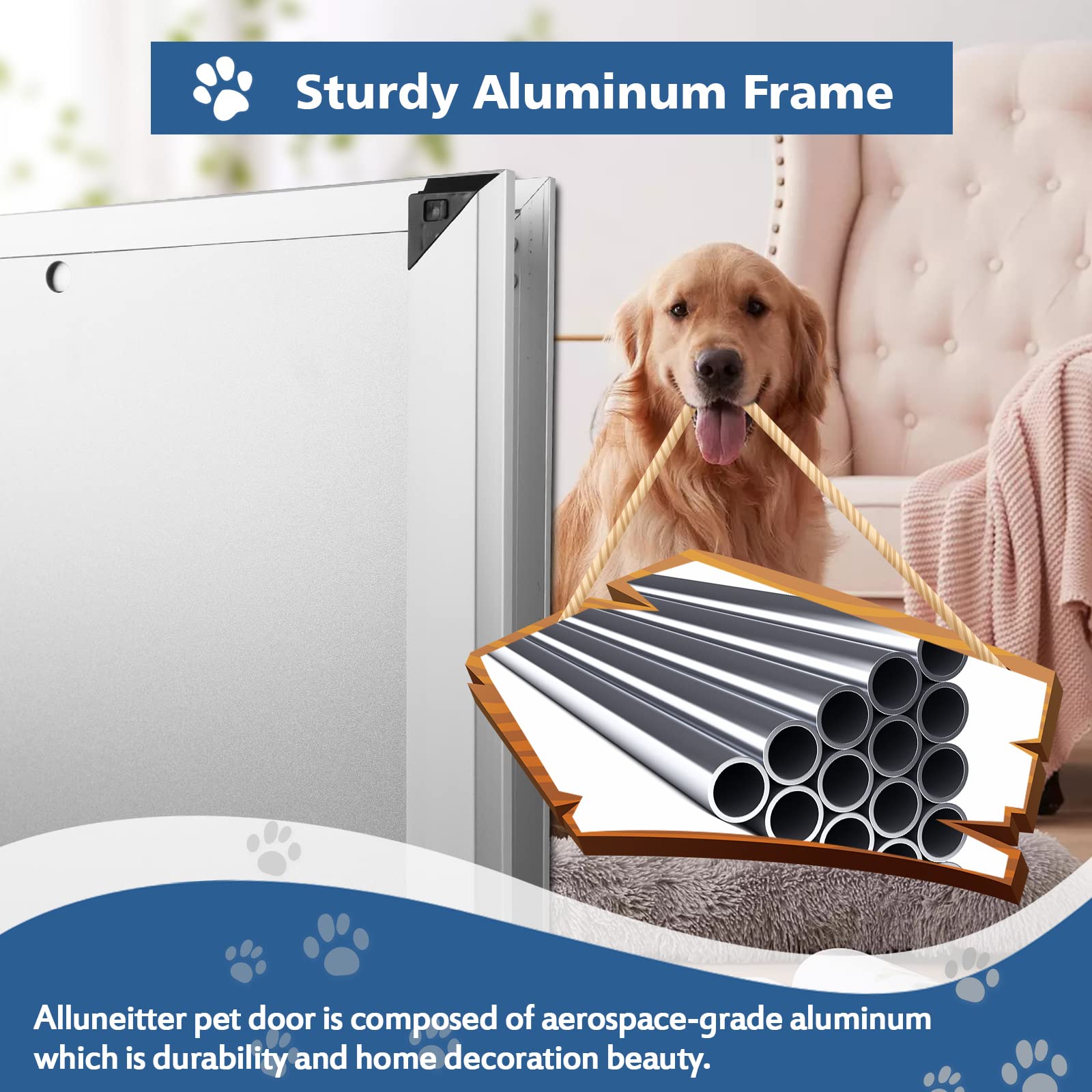 71zxPGDM-cL.jpg?product-images=xs