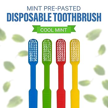M.ミント Amazon.com : 144 Prepasted Disposable Toothbrushes | Pre