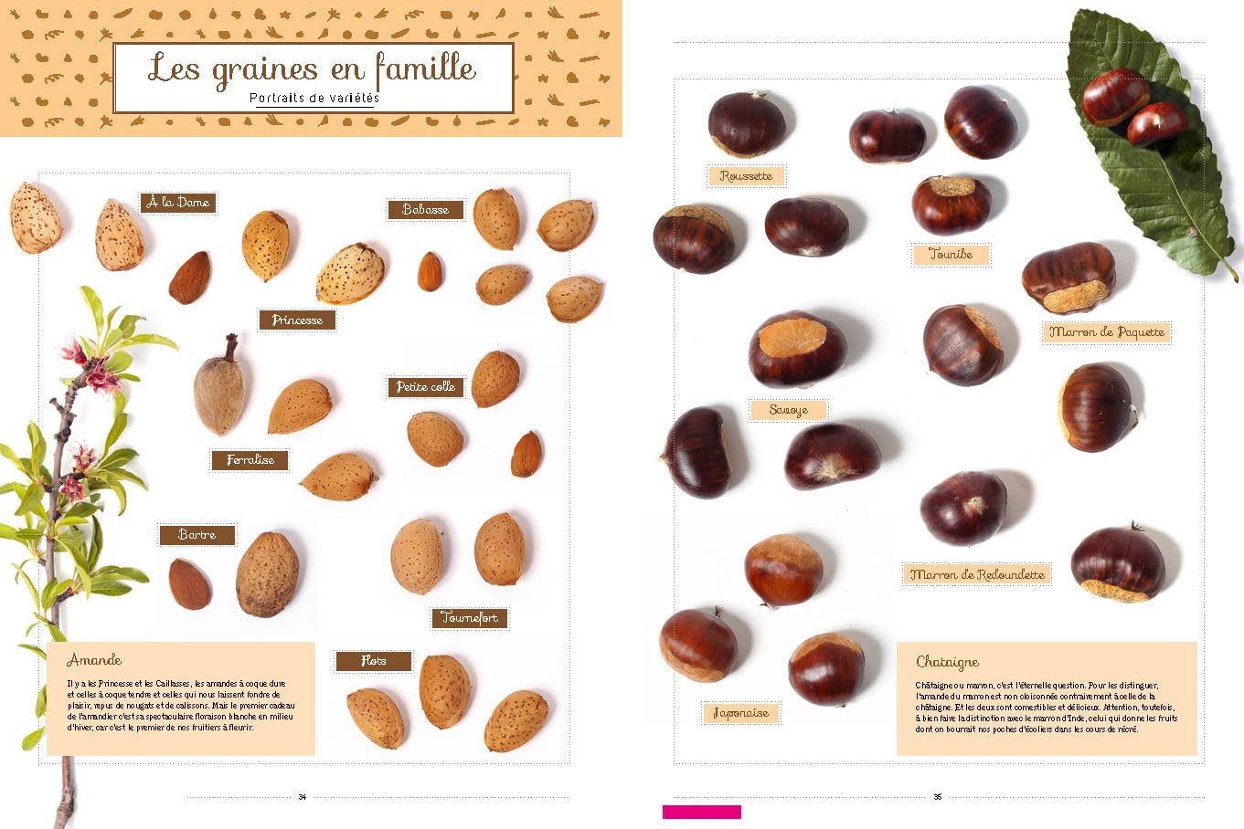 Graines: Tous les savoirs, toutes les histoires, tous les pouvoirs, tous les espoirs
