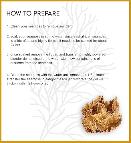 Miniatura 7 de Sea Moss Raw Orgánico  Hace 160 onzas de gel 100% artesanal salvaje  Súper alimento rico en minerales sin OMG secado al sol para energía  Refuerzo