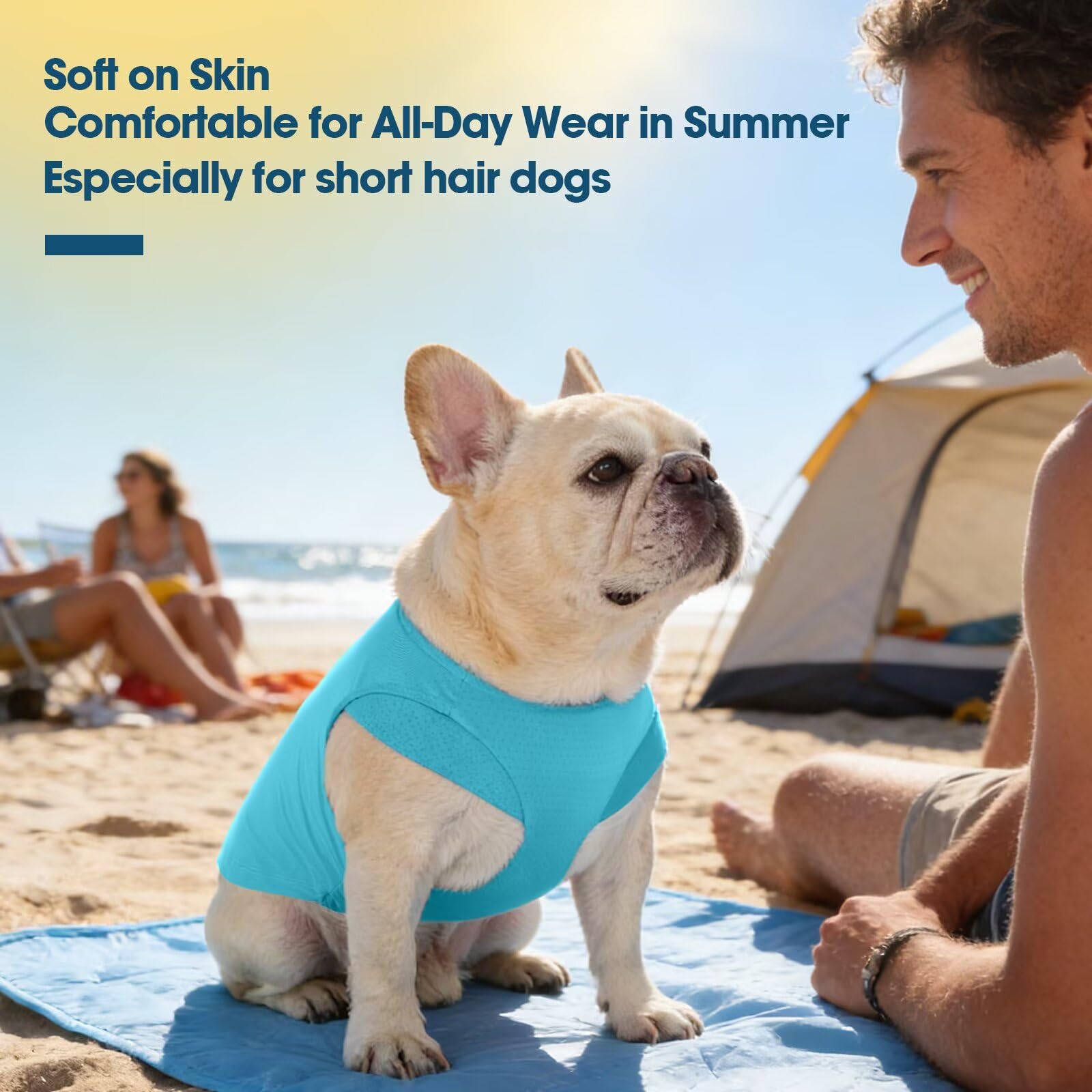 IECOii Lot de 2 t-shirts pour chiens de grande taille, gilet rafraîchissant à séchage rapide, chemise légère avec protection UV UPF50+ pour chiens, pour randonnée, plage, voyage, jeux - Chemise pour
