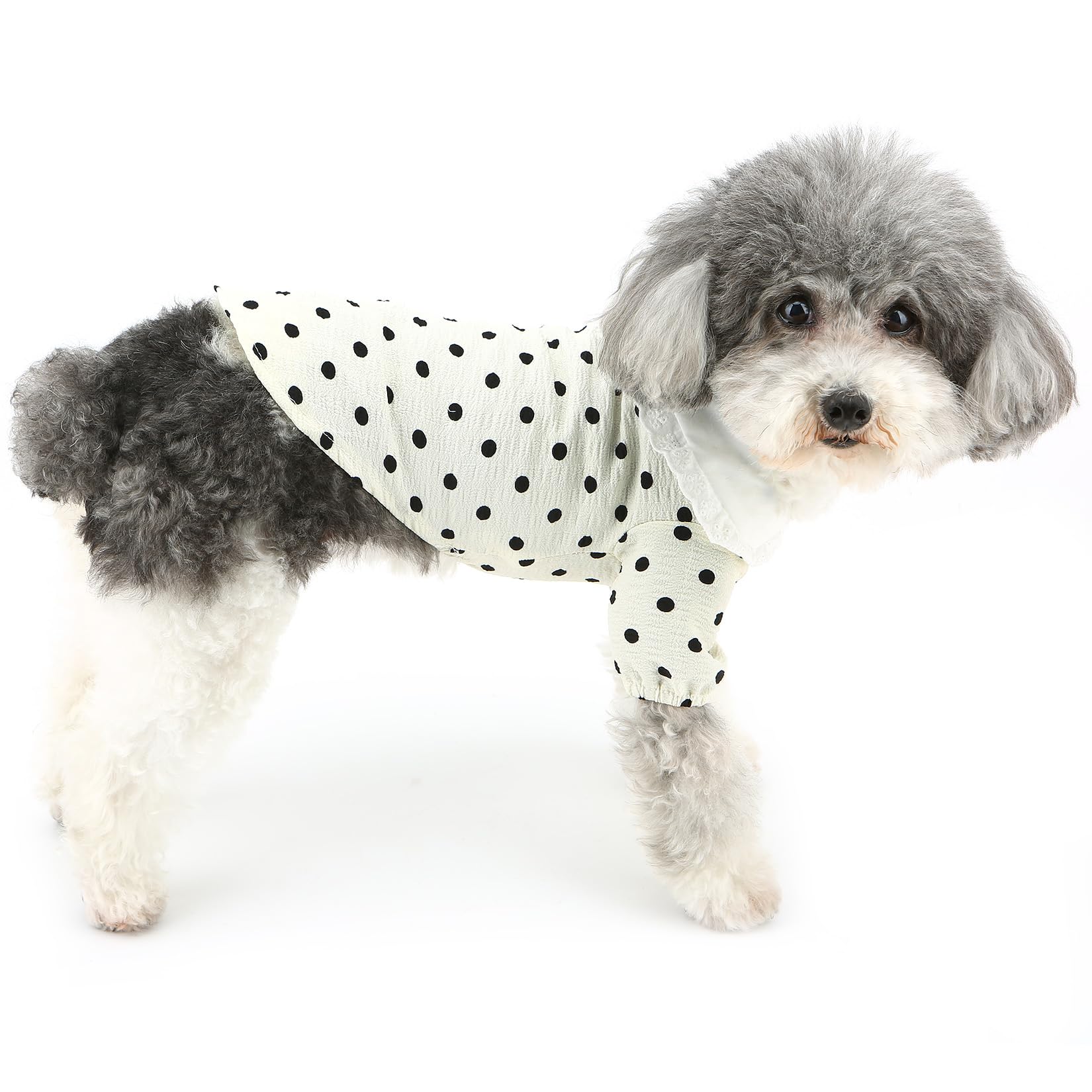 Amazon.co.jp: 犬 服 小型犬 Tシャツ 春 夏 袖あり 犬の服 シャツ