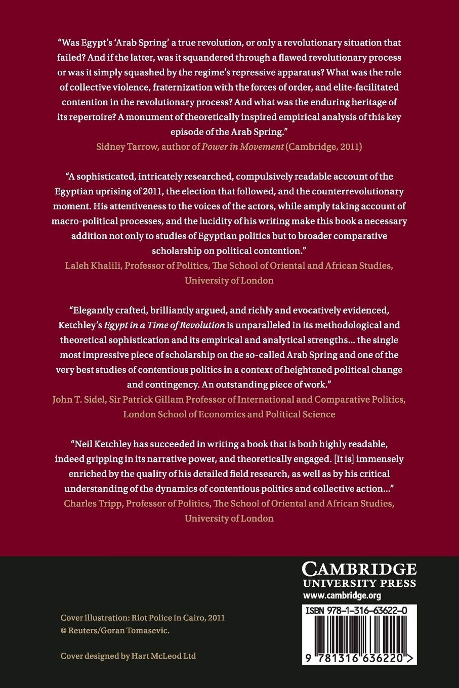 Egypt in a Time of Revolution (Cambridge Studies in Contentious Politics)