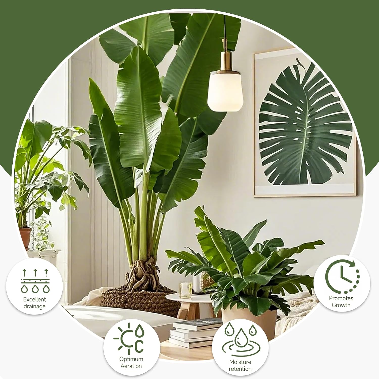 Doter Premium Banana Tree Potting Mix for Optimal Seedling Growth 10qt, Suitable for All Indoor and Outdoor Banana Tree Varieties