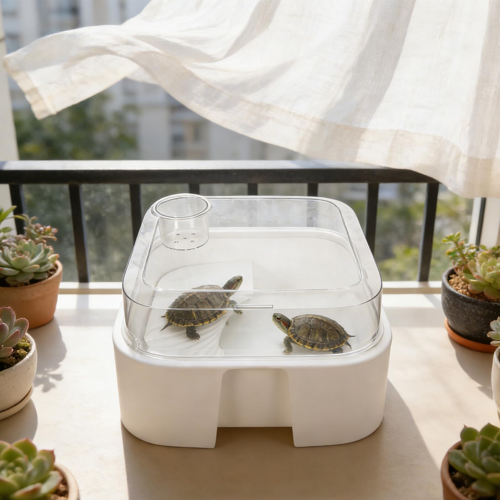 Gatuida Acquario per Tartarughe con Coperchio e Piattaforma per Crogiolarsi, Vasca in Plastica Trasparente 30x30x16 Cm, Habitat Compatto Anti-Fuga per Rettili e Tartarughe D’Acqua