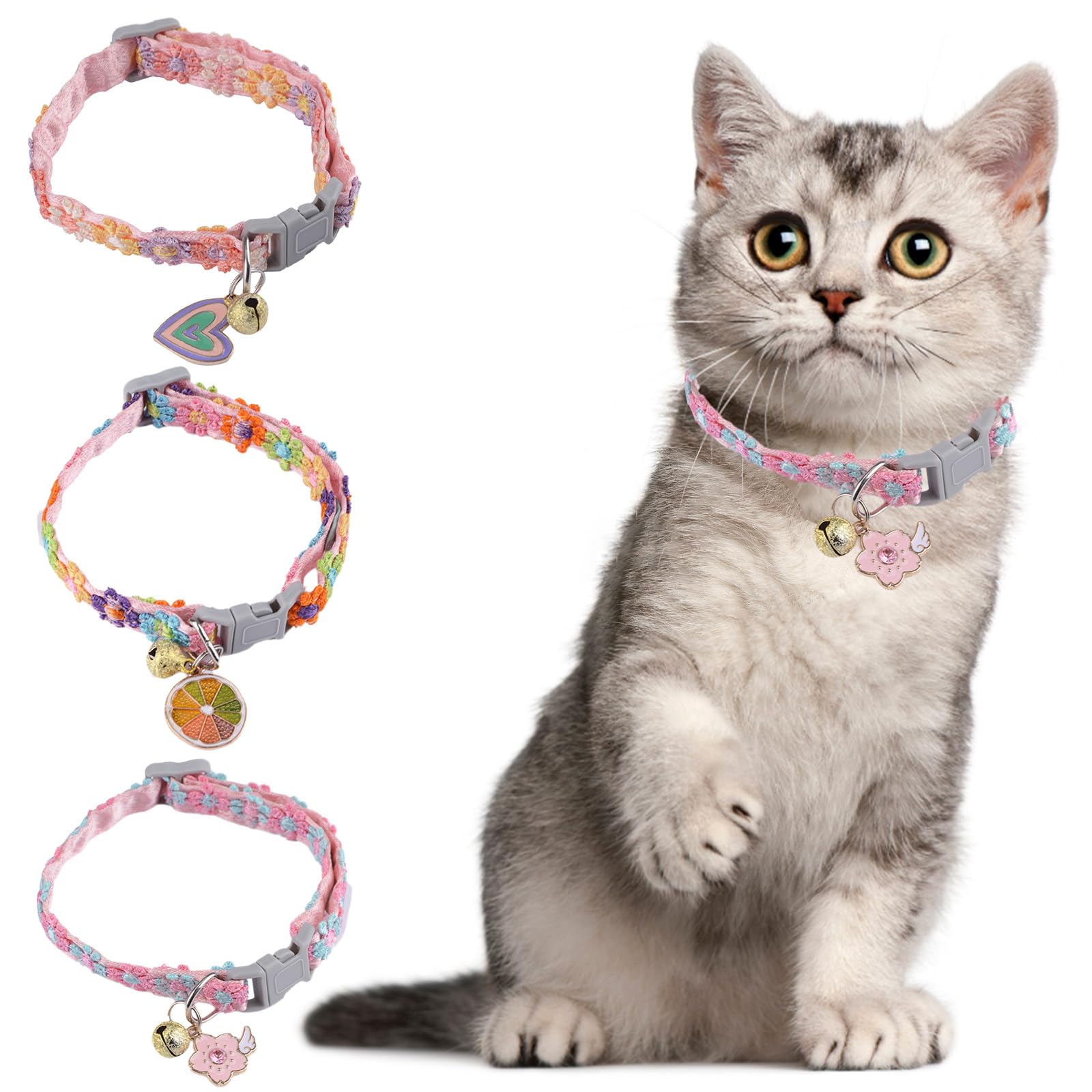 Collier pour chat réglable floral avec clochette de sécurité | Lot de 3 pour chaton