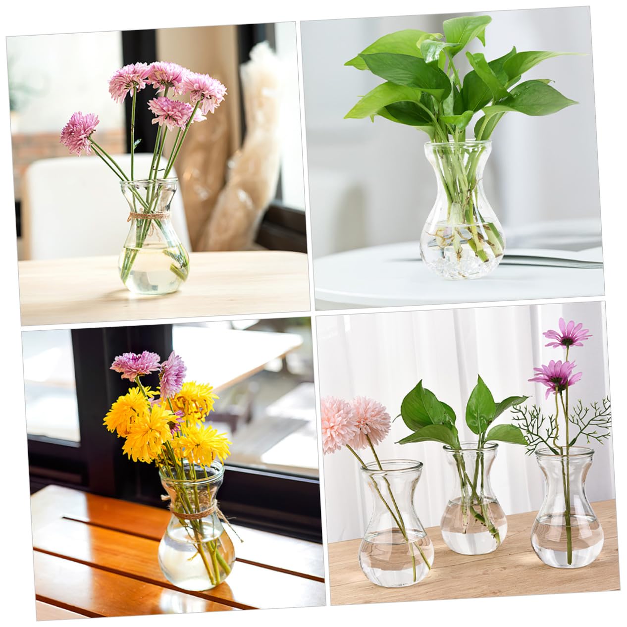 Uonlytech 5 pièces Lot de Vases Verre Transparent pour Propagation Hydroponique Décoratifs et Compacts pour Bureau et Intérieur