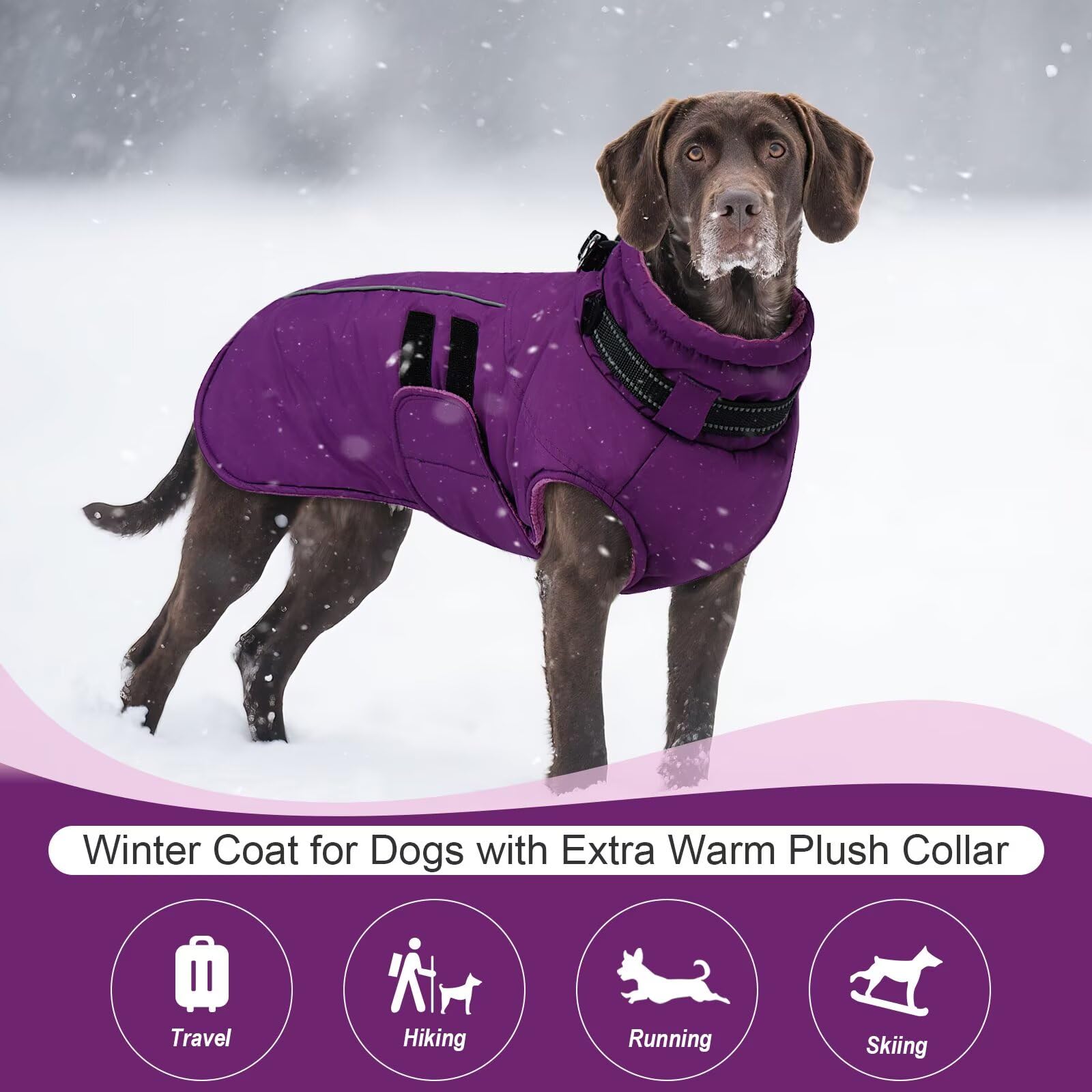 IECOii Winterjacken & Wintermäntel Für Hunde,Warme Hundejacke Winter,Wasserdichter Hundemantel,Verstellbarer Hundemantel Winter,Reflektierende Hundejacke Wasserdicht,Gürtel WinterHundemantel,Lila,5XL