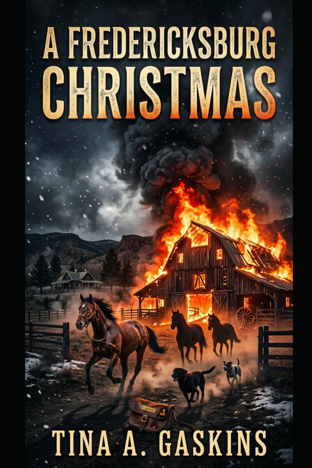 A Fredericksburg Christmas: Men of Fredericksburg Texas: 5