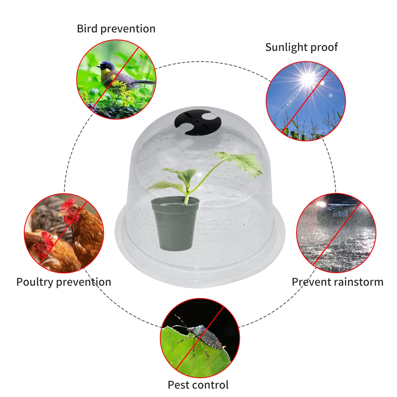 Baoz 10 pack  Garden Cloche Plant Bell Cover Humidity Dome Durable Plant Protector Cover Plastic Mini Greenhouse with 18Pcs Metal Stakes and 10Pcs Labels for Seed Starter(10.24" H x 8.26" D)