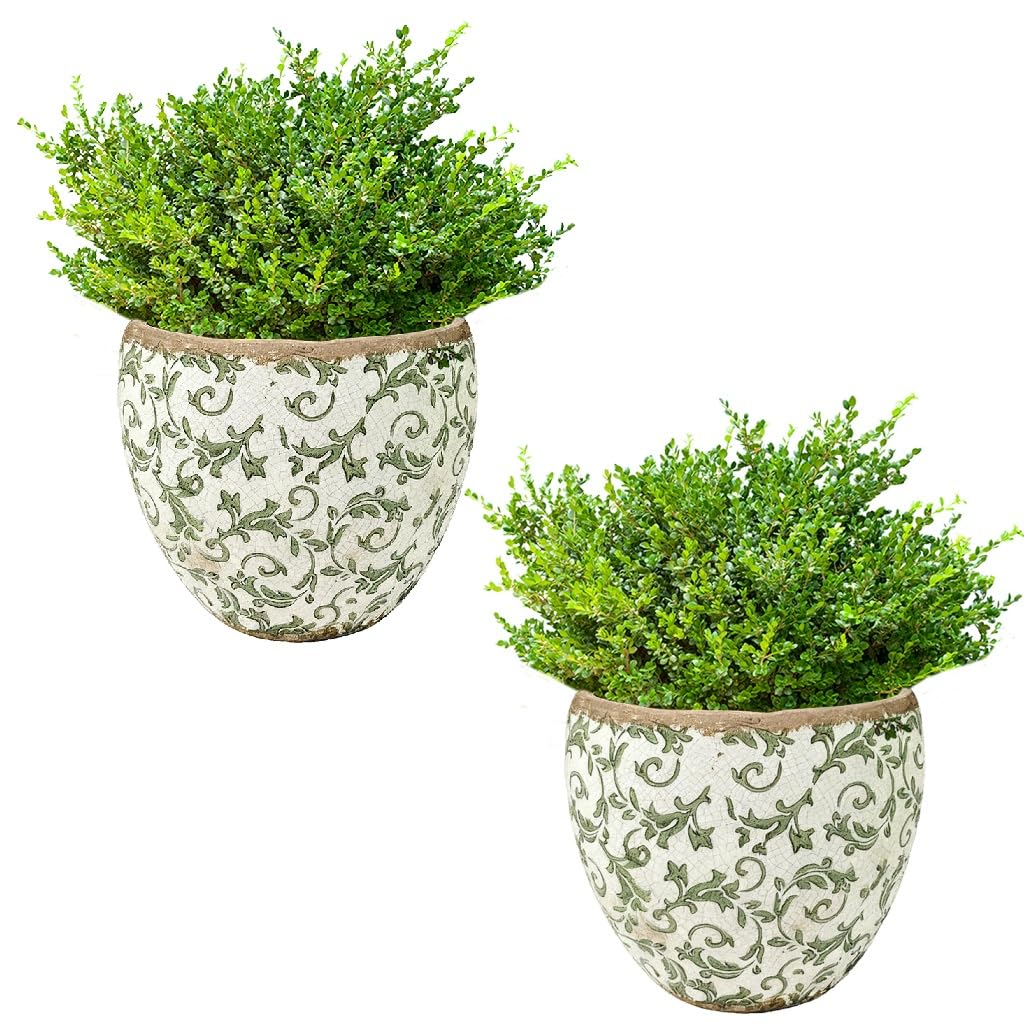 Floral Print Ceramic Plant Pots Indoor Flower Pot Planter Large x2 (DZ89)