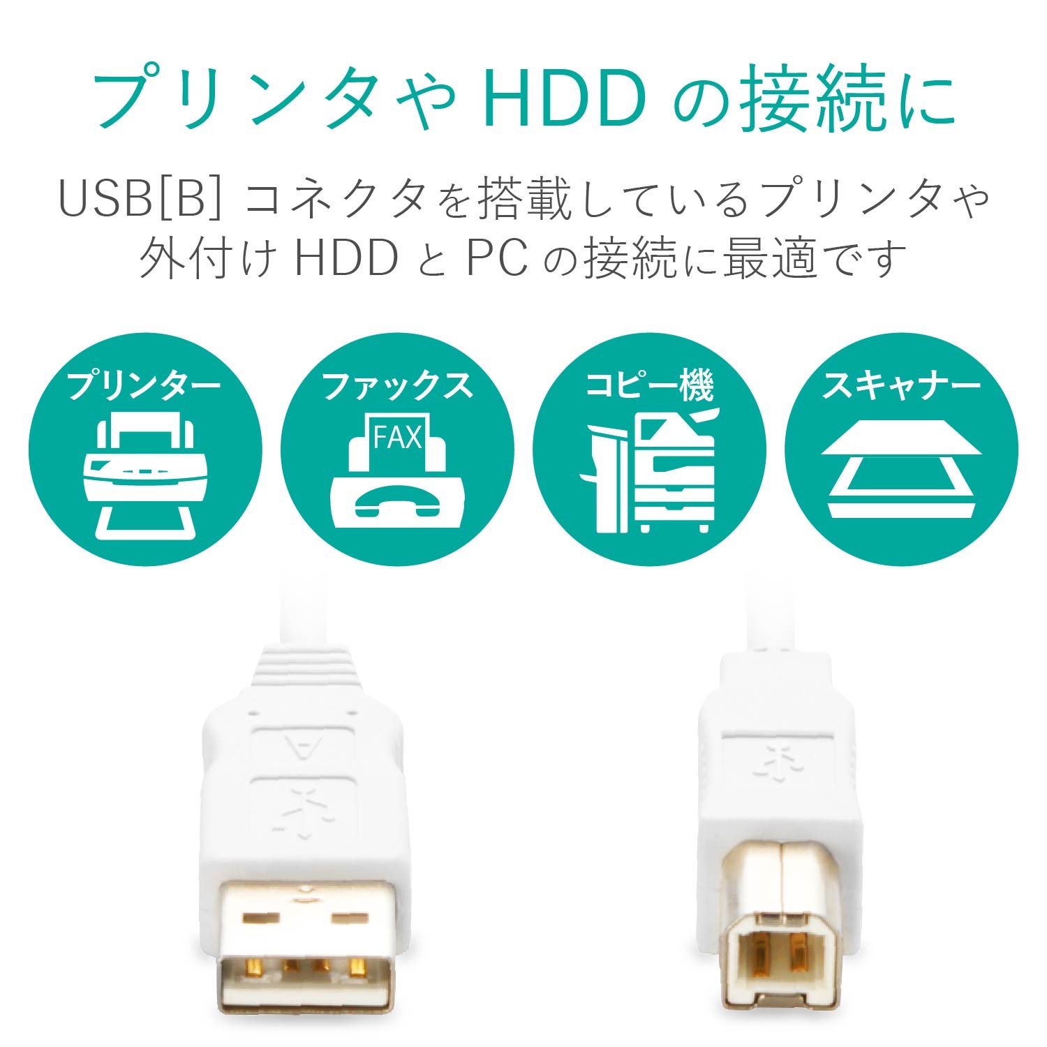 Amazon.co.jp: エレコム USBケーブル 【B】 USB2.0 (USB A オス to USB