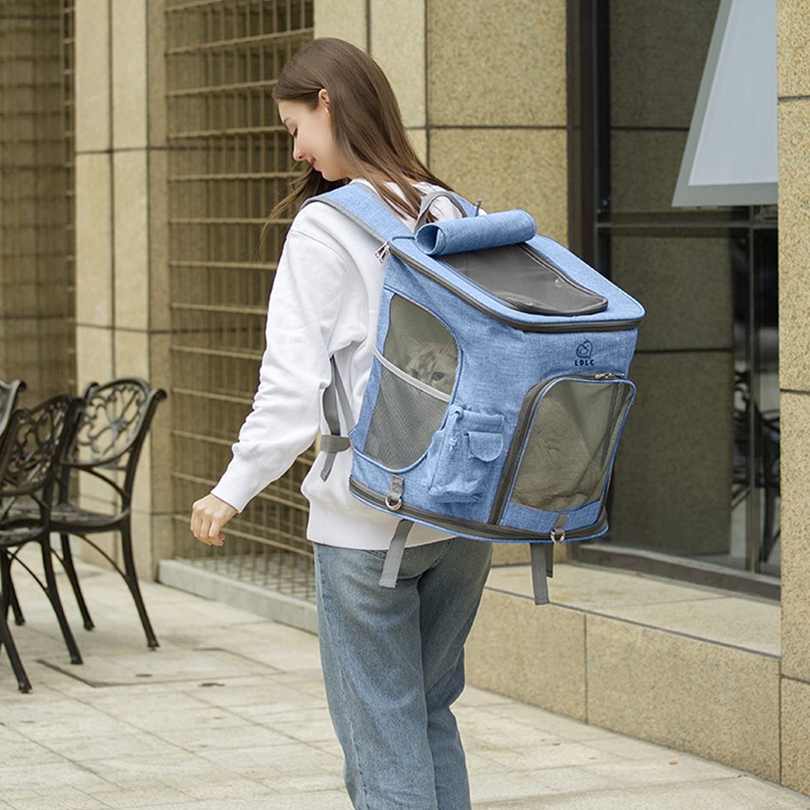 PETCUTE Zaino per Cani e Gatti,Traspirante Borsa Trasportino Cane con Struttura Solida,Pieghevole Borsa Trasportino per Cani con Materasso Morbido,Tracolla Regolabile,Carico Massimo 10kg