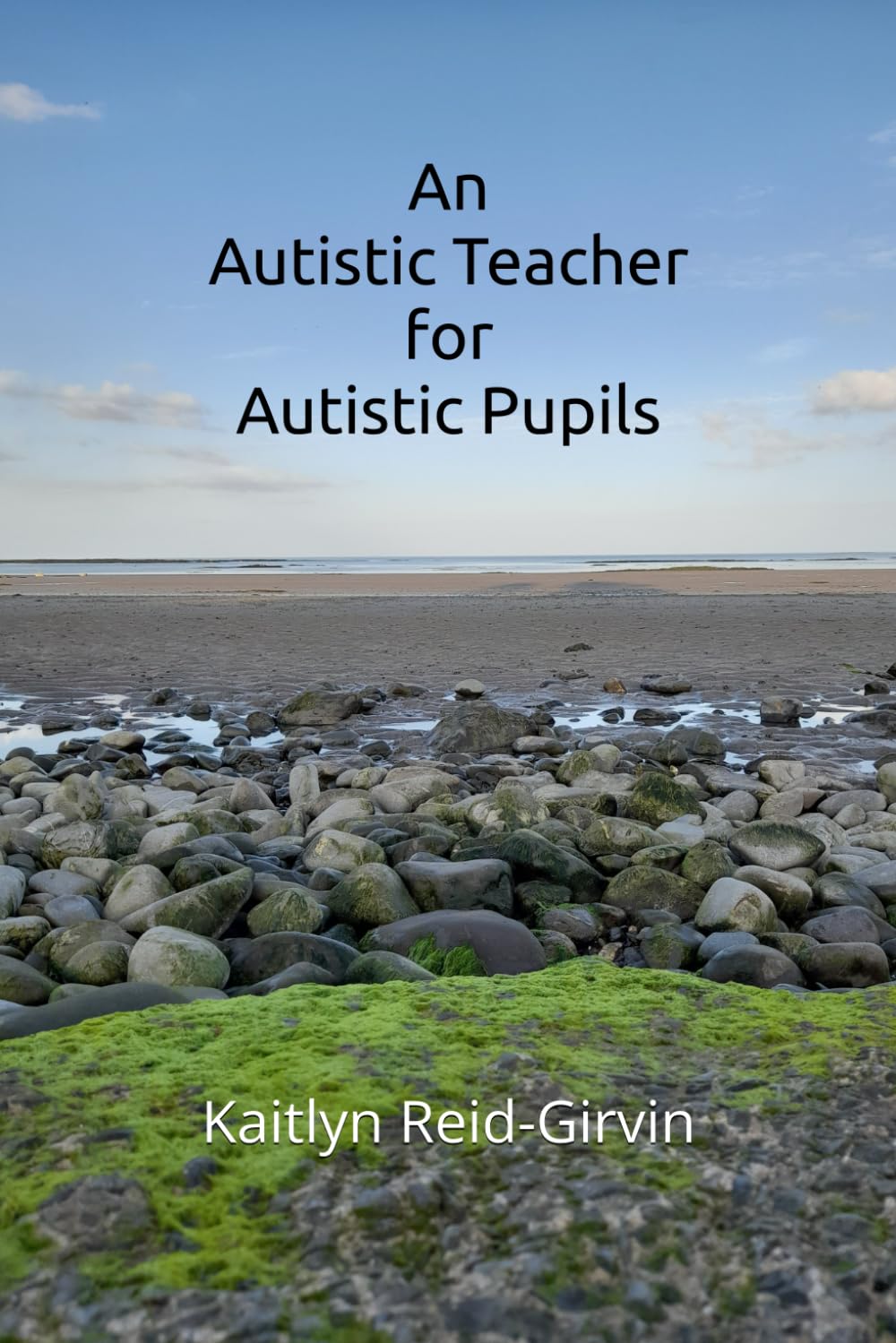 An Autistic Teacher for Autistic Pupils