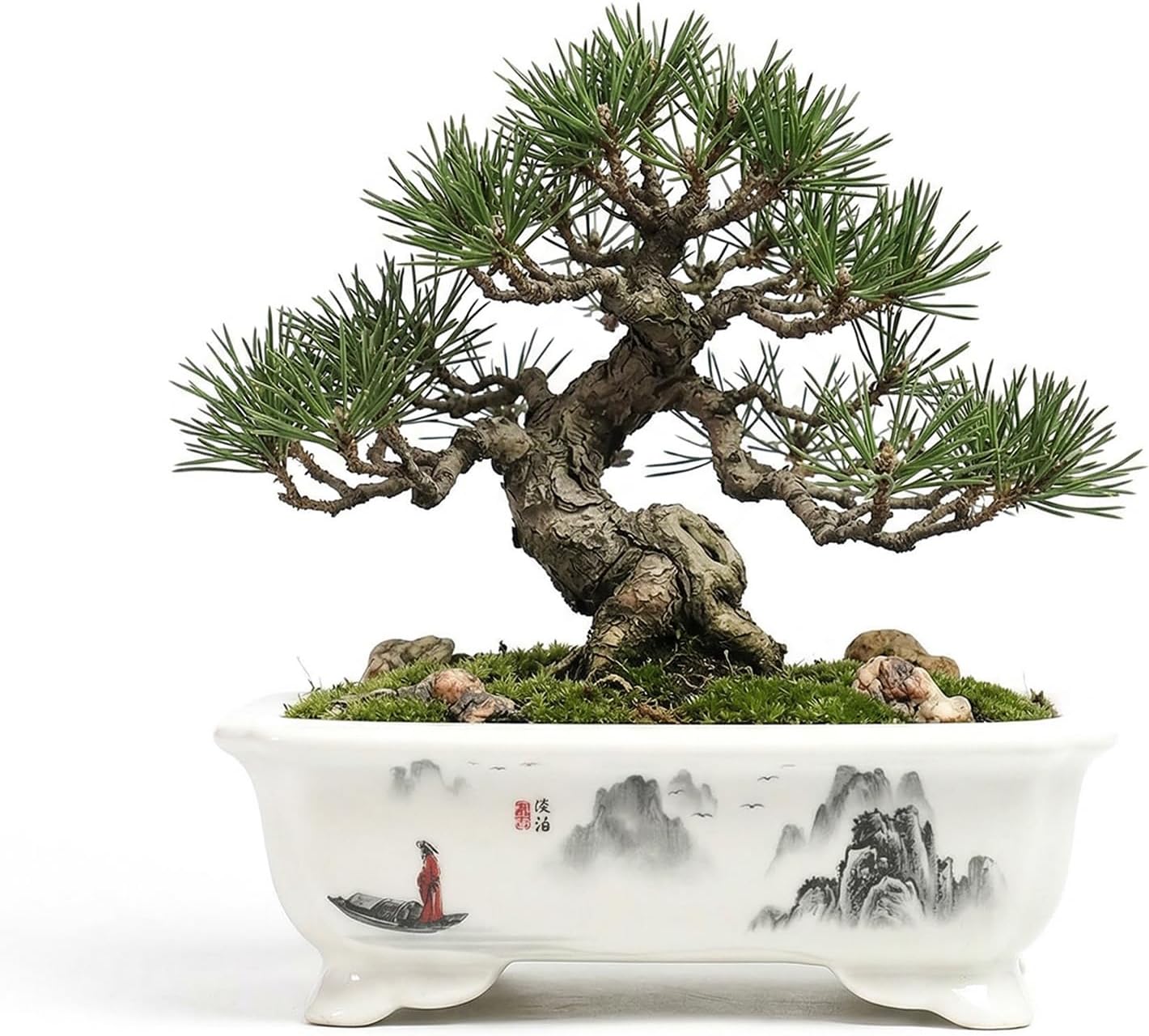 Bonsai Pots with Drainage Tray, 6 Inch Plant Pot, Rectangular Chinoiserie Ceramic Planters,Painted Shallow Pot for Succulents, Bonsai Tree, Indoor Plants | Home Office Table Top Decor & Gifts