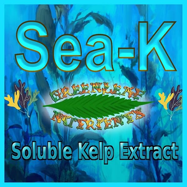Organic Sea-K for Plants Seaweed and Kelp Fertilizer Supplement Concentrated Extract Powder Nutrient 200g - 5