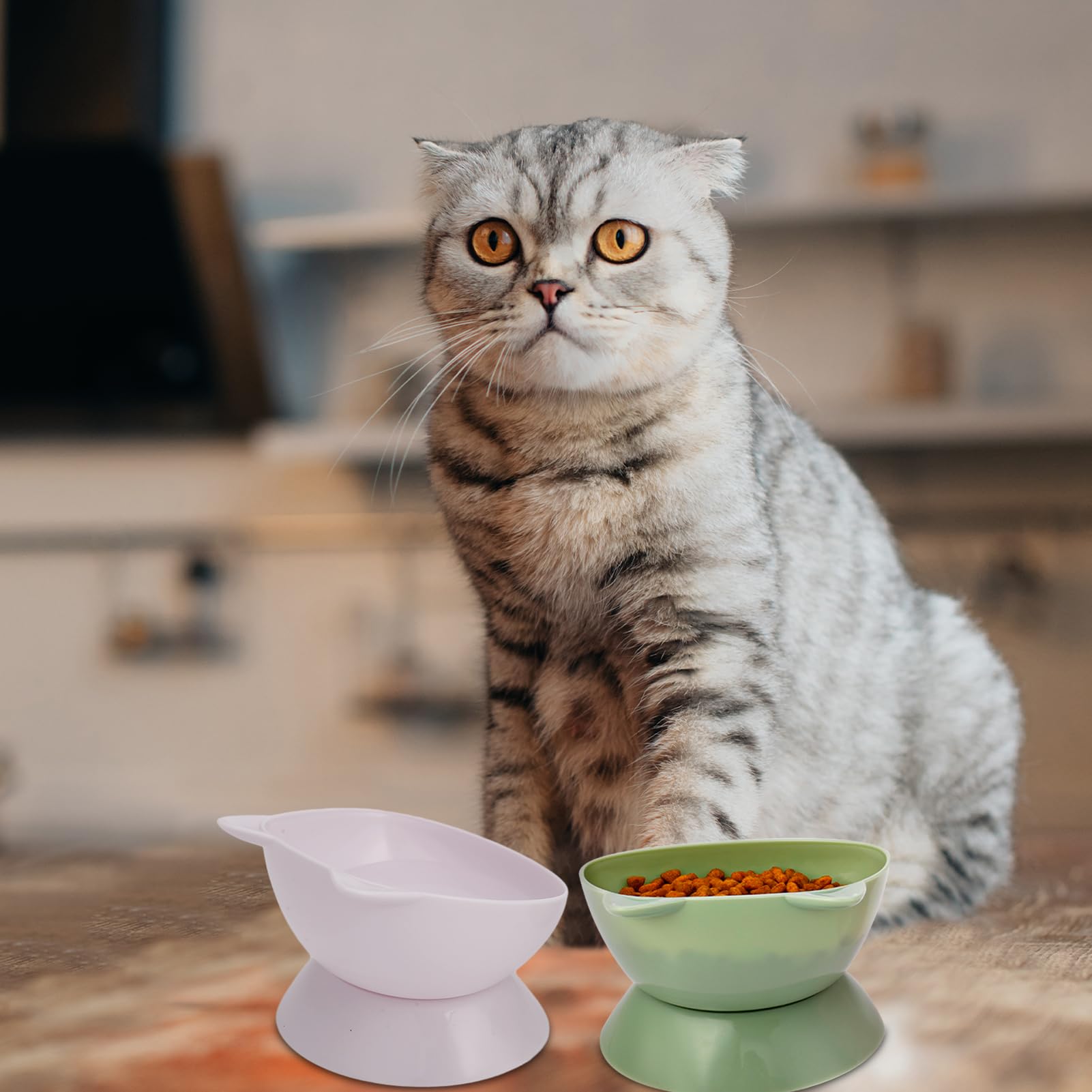 Suqwn Cat Bowls, Triangle Elevated Cat Food Bowl, Plastic Tilted Elevated Cat Bowls Raised Cat Food Bowls Elevated Feeding Dish Flat Faced Kitten Kitty