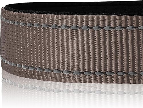 Vista 128 de Joytale - Collar reflectante para perro, collar de nailon transpirable con acolchado de neopreno suave para mascotas, ajustable para perros Rosado