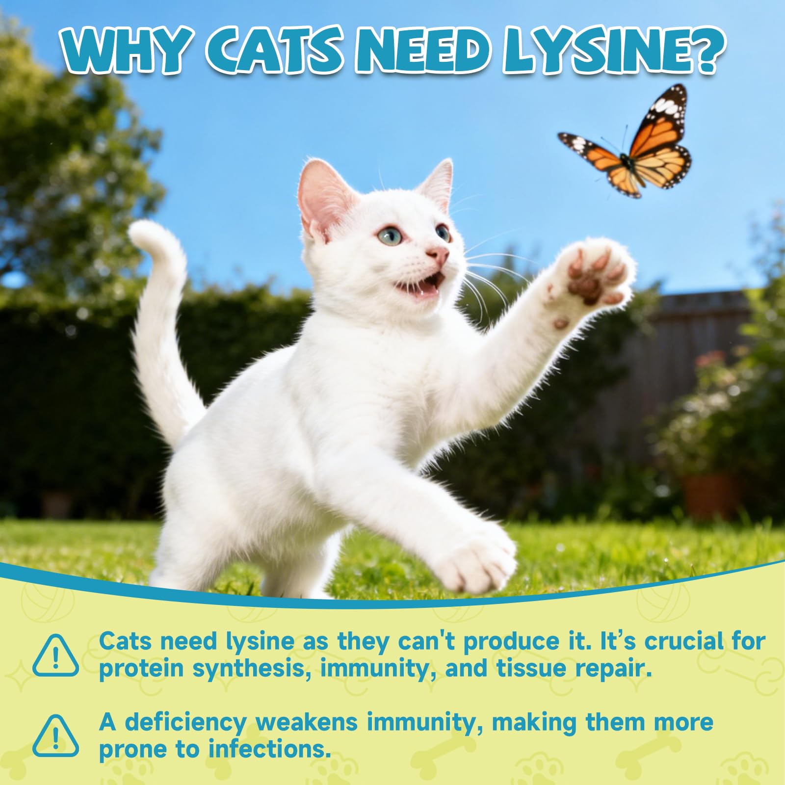 L-Lisina per Gatti Gattini – Pasta Gatti Lisina Supporto Immunitario, Sollievo da Starnuti, Raffreddore, Occhi che Lacrimano, Taurina, Omega-3, Vitamine