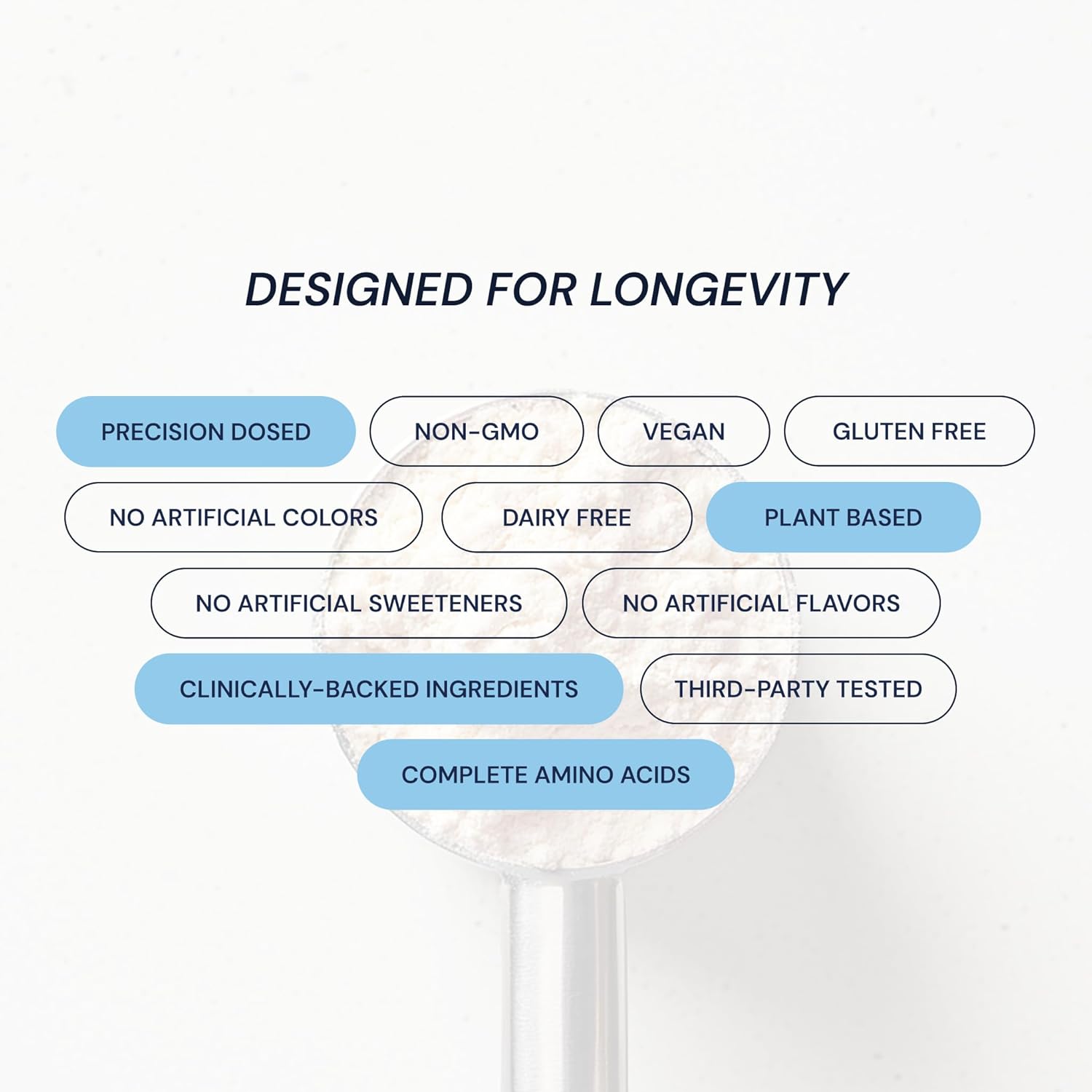 Blueprint Bryan Johnson Vegan Protein Meal Replacement – Plant Based Hemp Protein with 27g Protein Per Serving – Low Calorie, Chai Flavored Protein for Women & Men – Dairy Free– 15 Servings - Image 7