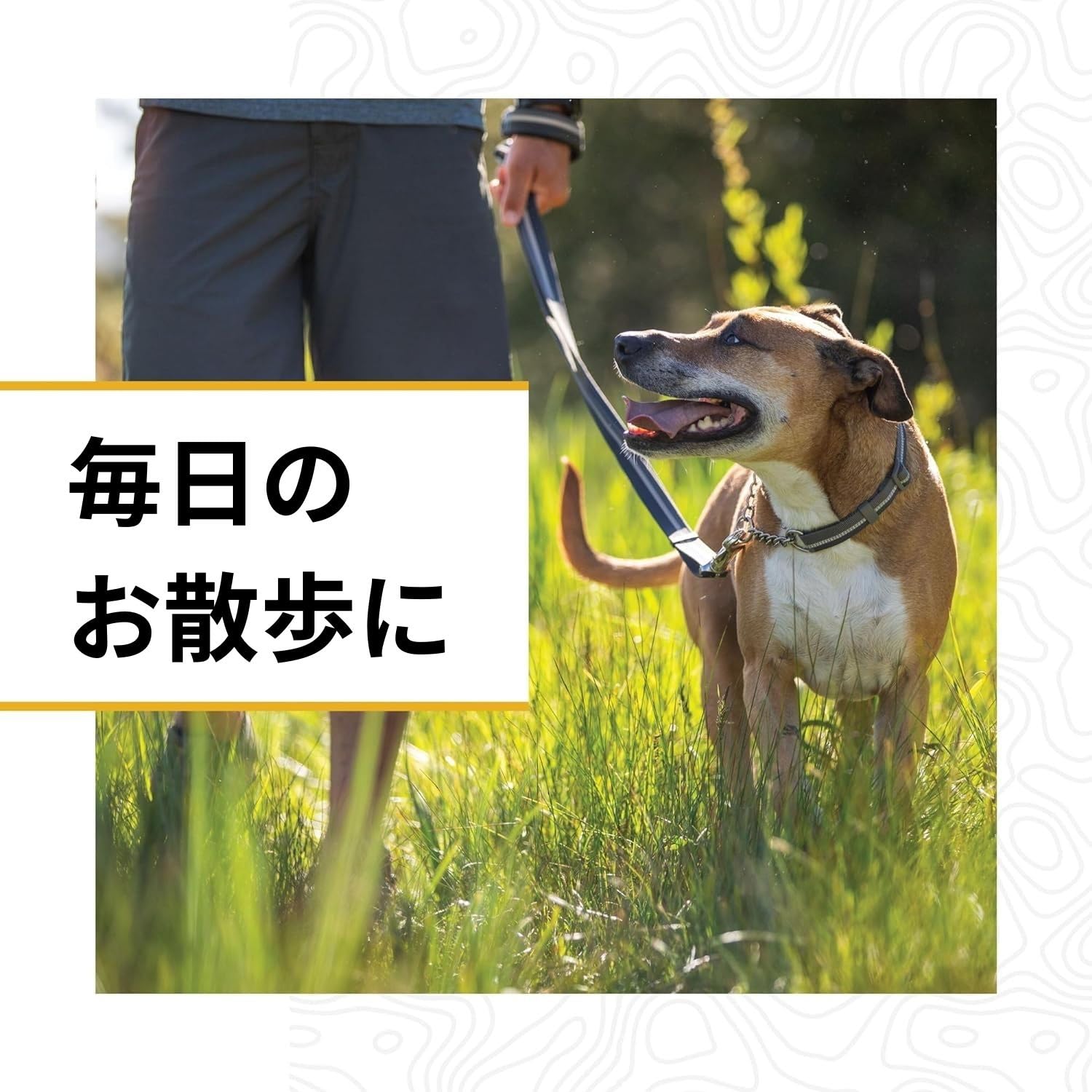 Amazon | RUFFWEAR(ラフウェア) 公式 チェーンリアクションカラー