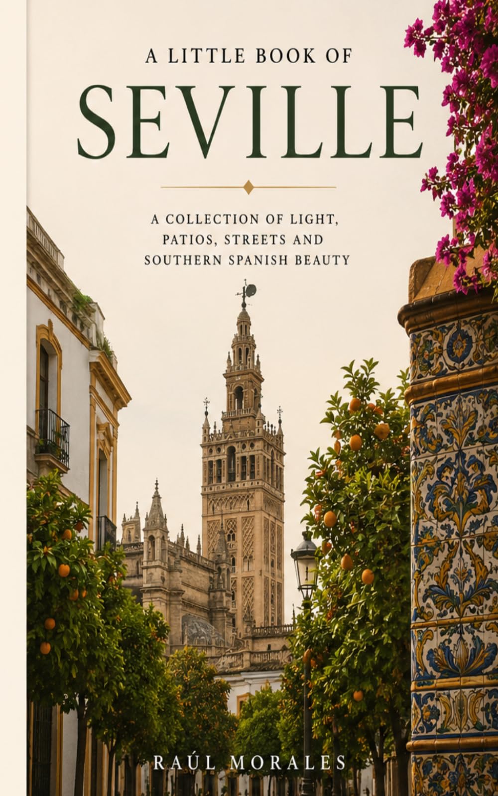 A Little Book of Seville: A Collection of Light, Patios, Streets and Southern Spanish Beauty