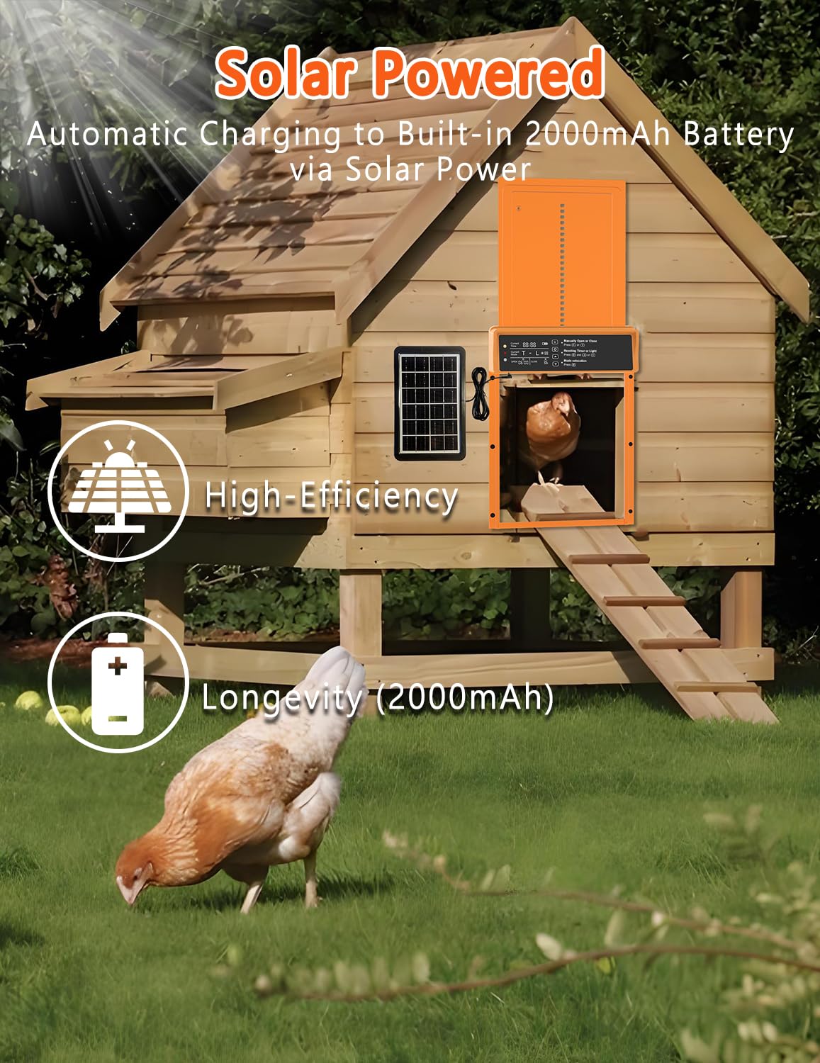 Porta automatica per pollaio a energia solare, display LCD, porta per pollo in lega di alluminio resistente con timer e sensore di luce, telecomando, resistente alle intemperie, risparmio energetico,