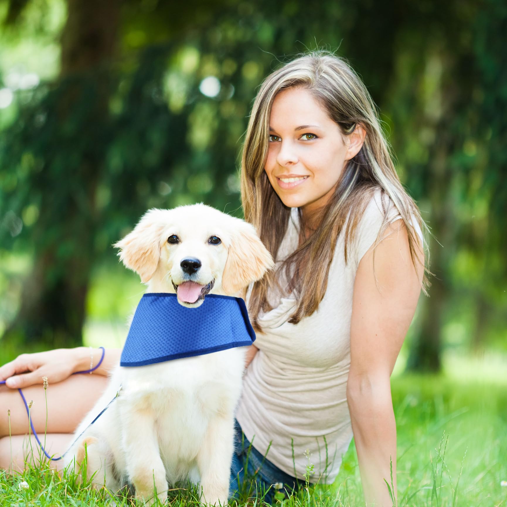 Bandana Rafraîchissant Pour Chien - Lot De 2 Foulards D'été Légers Et Respirants, Taille M (6-15 Kg)