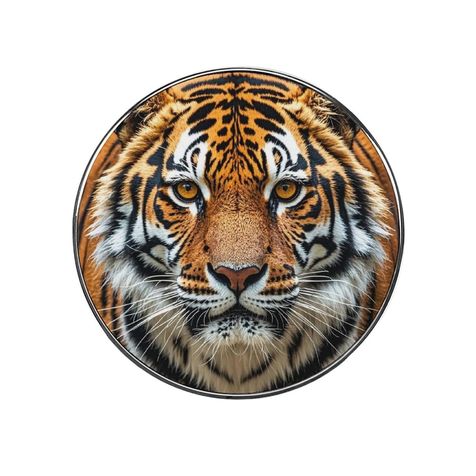 Sticker magnétique tigre étanche pour décoration de porte de croisière