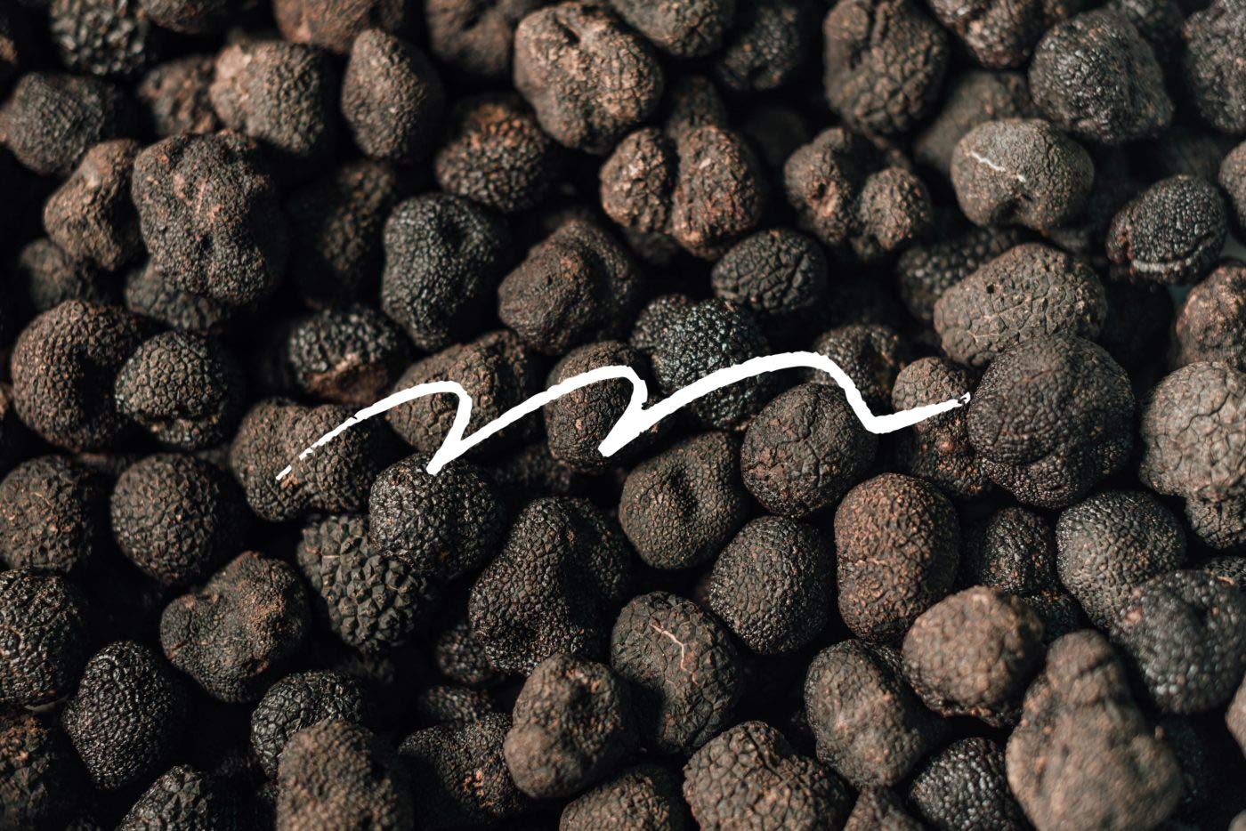 Trufa Negra Natural en su Jugo Tuber Melanosporum para Cocina Gourmet - 15 gr Trufa Española de Sarrión, Teruel.