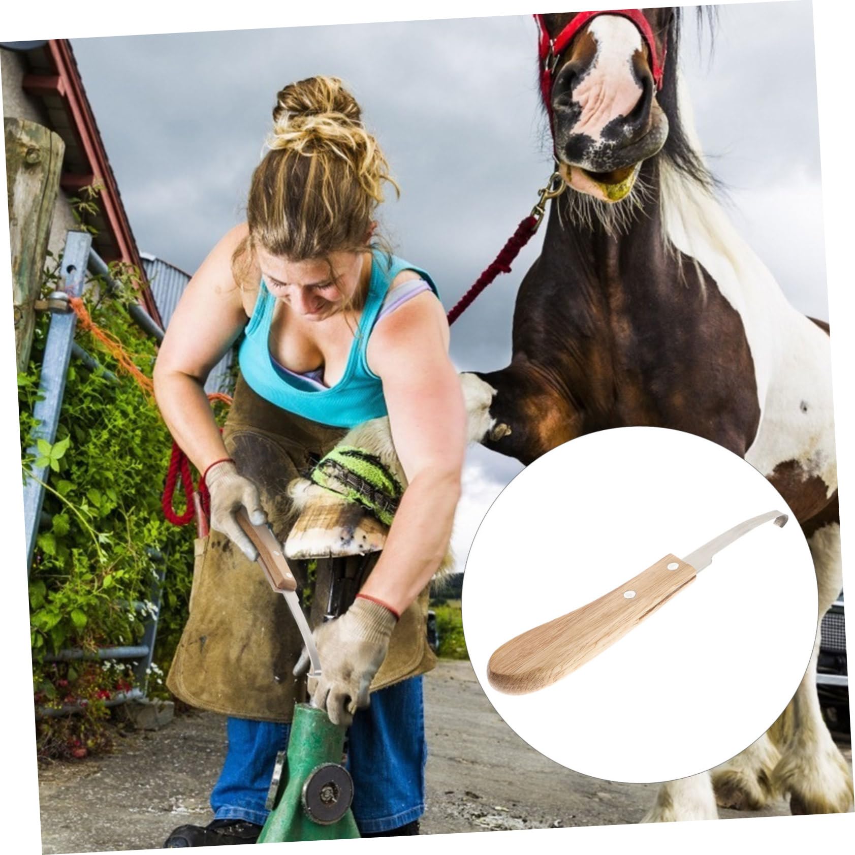 VANZACK Ergonomic Horseshoe Fork Trimmer Easy to Trim Horseshoes Stainless Steel Shoeing Tool