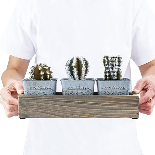 Miniatura 4 de MyGift Juego de 4 piezas de exhibición de plantas artificiales, mini cactus sintético surtidos, plantas de interior falsas en cubos de lata con caja