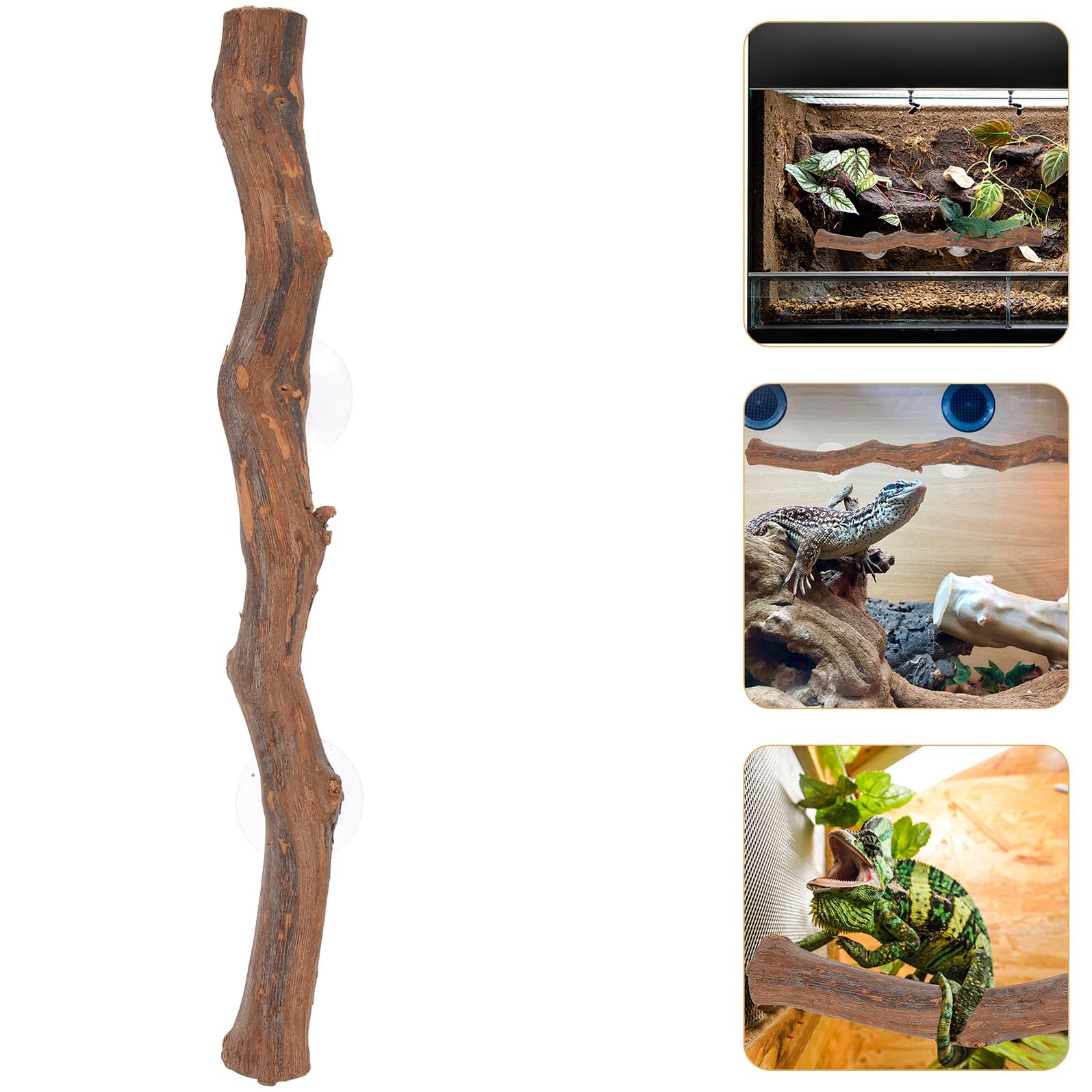 SHINEOFI Estante de Pie para Lagartos de Madera Bordes Redondeados, Accesorio para Reptiles Seguro y Oportunidad de Escalada en Terrarios Decorativos