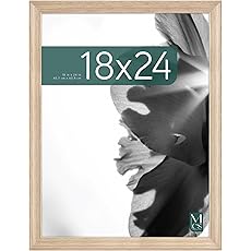 MCS Classic Studio Gallery Frame, Black Woodgrain, 18 x 24 in, Single, Classic Black