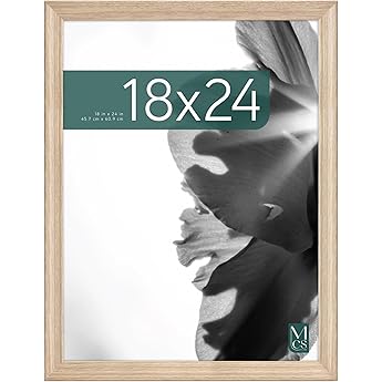 MCS Classic Studio Gallery Frame, Black Woodgrain, 18 x 24 in, Single, Classic Black