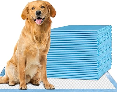 Healqu Almohadillas para cachorros 25 unidades, 23 x 24 pulgadas Tecnología avanzada a prueba de fugas para romper el hogar y entrenamiento