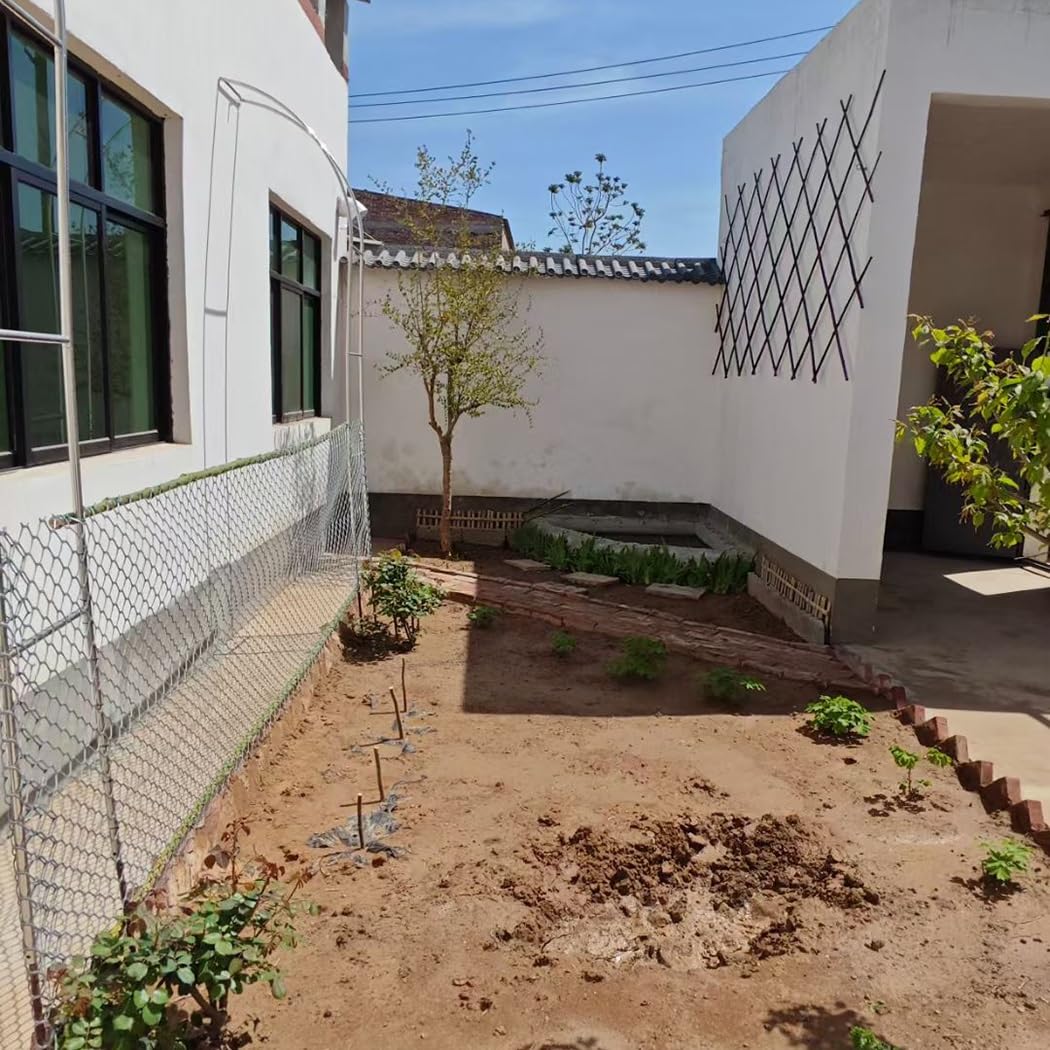 Enrejado de jardín de acero inoxidable de 240 cm para plantas trepadoras, arco de rosas de media altura, resistente a la intemperie, decoración al aire libre, 250 x 240 cm, accesorio de jardín