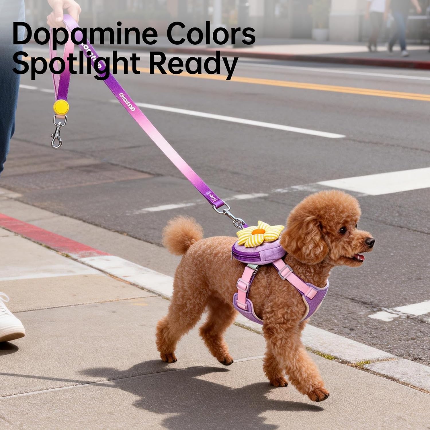 TOUCHDOG Harness with Backpack for Small Dogs, Breathable Mesh Padding, 3D Wrapping, No-Pull Anti-Choke, Reflective, Lightweight, Adjustable, Cream Color (Purple, L)
