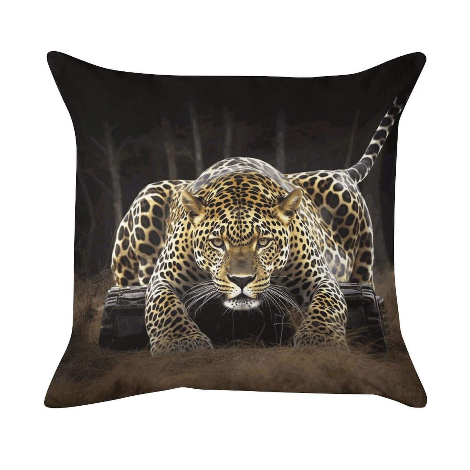 FekiLoot Leopard2 Pillowcase Velvet Throw Pillow Cover Ultra Soft Lumbar Pillow Shells Square Cushion Cases with Zipper Luxury Cozy Pillows Shams for All Seasons