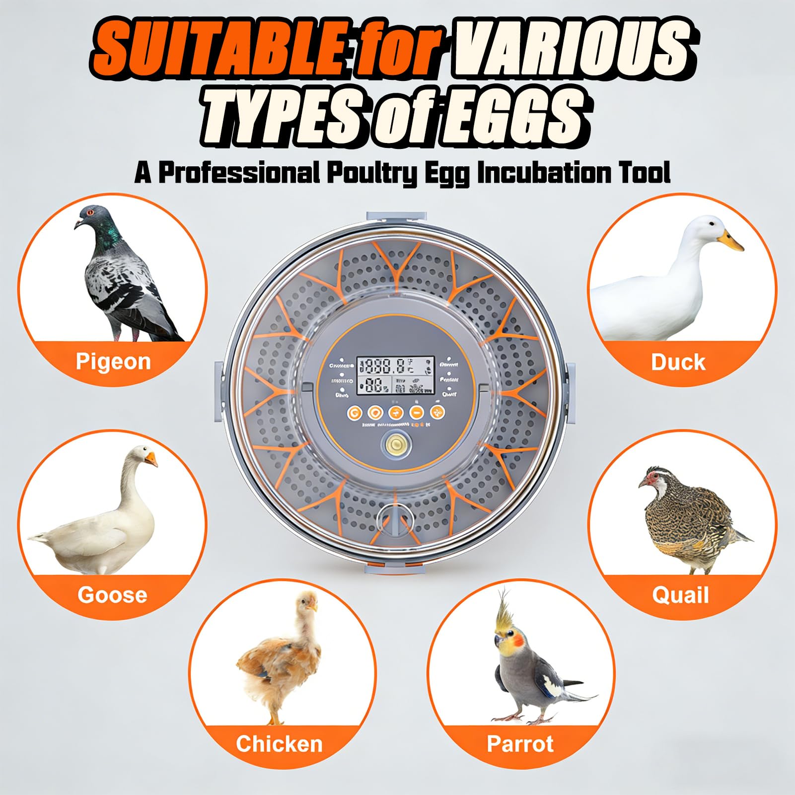 Incubadora automática inteligente de huevos con 12 huevos y control de humedad automático de huevos de gran capacidad, incubadoras de tanque de agua para incubar aves de corral, huevos de pato