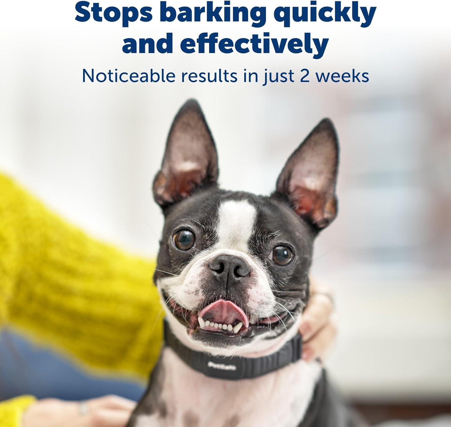 PetSafe NanoBark Collar - Long-Lasting Lightweight Mini Bark Deterrent Collar with Multiple Static Stimulation Levels - Customizable & Easy-to-Use - Waterproof & Rechargeable